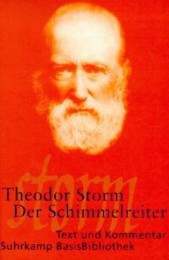 Der Schimmelreiter : Text und Kommentar