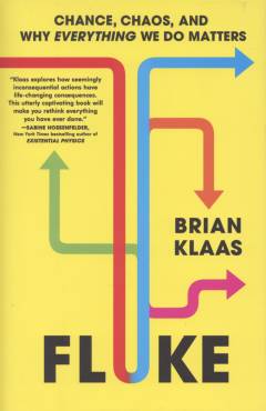 Fluke : chance, chaos, and why everything we do matters
