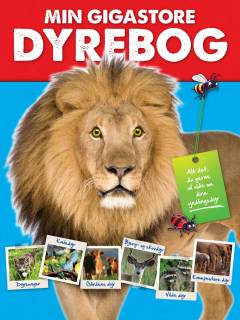 Bog, 1. udgave, 2016