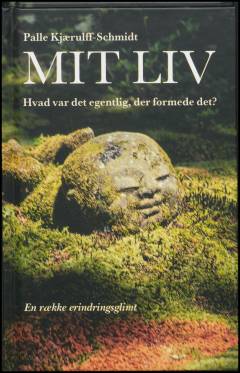 Mit liv : hvad var det egentlig, der formede det? : en række erindringsglimt