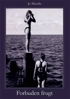 Forbuden frugt : walisiske noveller