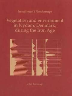 Vegetation and environment in Nydam, Denmark, during the Iron Age