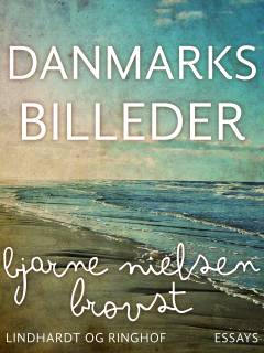 Danmarksbilleder : essays