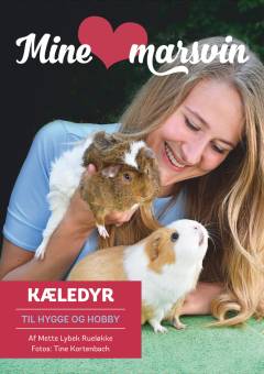 Mine elskede marsvin : kæledyr til hygge og hobby