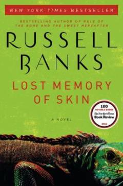 Lost memory of skin : a novel