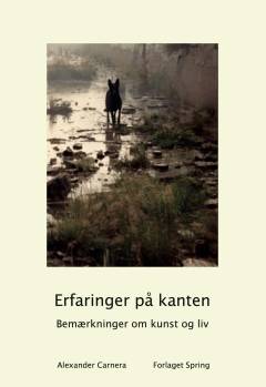 Erfaringer på kanten : bemærkninger om kunst og liv