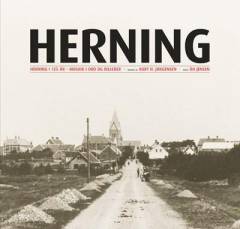 Herning : Herning i 125 år : mosaik i ord og billeder