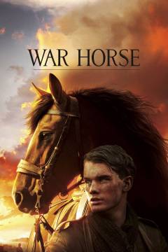 War horse