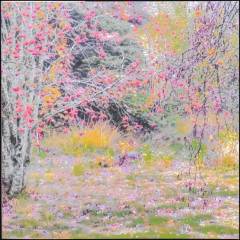 -><-