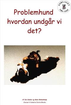 Bog, 1999