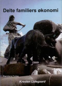 Delte familiers økonomi