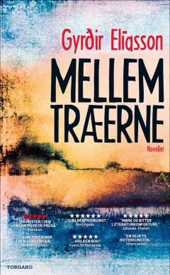 Bog, 1. udgave, 2011