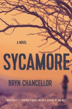 Sycamore : a novel