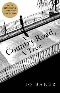 A country road, a tree