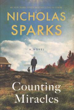 Counting miracles : a novel