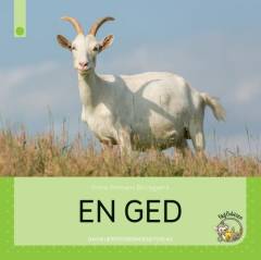 En ged