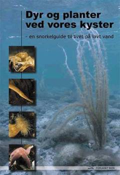 Dyr og planter ved vores kyster : en snorkelguide til livet på lavt vand