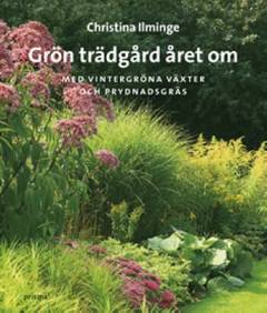 Grön trädgård året om : med vintergröna växter och prydnadsgräs