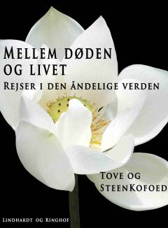 Mellem døden og livet : rejser i den åndelige verden