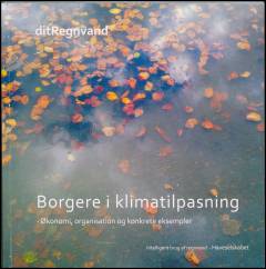 Borgere i klimatilpasning : økonomi, organisation og konkrete eksempler