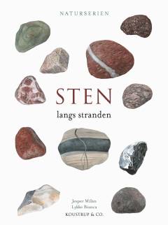 Sten langs stranden