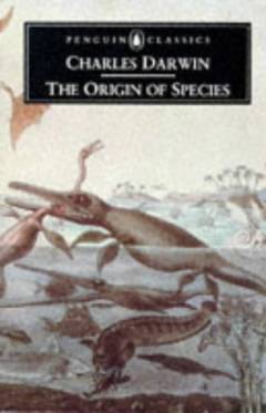 Bog, 1985