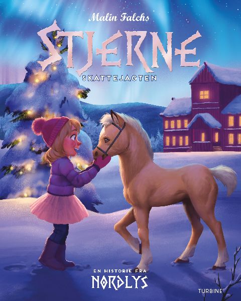 Stjerne : en historie fra Nordlys