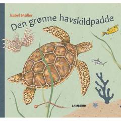 Den grønne havskildpadde