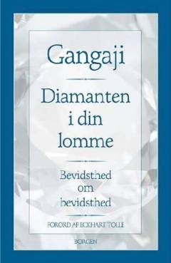 Diamanten i din lomme : opdag dit sande lys