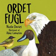 Ordet fugl