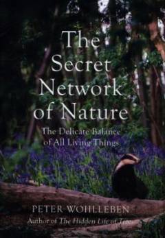 The secret network of nature : the delicate balance of all living things