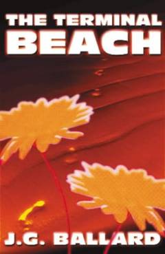 The terminal beach