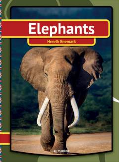 Elefants