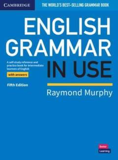 English grammar in use : a self-study reference and practice book for intermediate learners of English : with answers