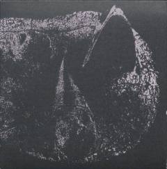 Viscera