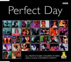 Perfect day