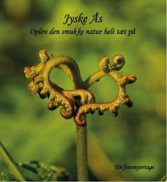 Jyske Ås : oplev den smukke natur helt tæt på