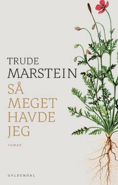 Så meget havde jeg (Sæt)