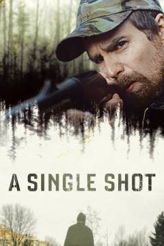 A single shot