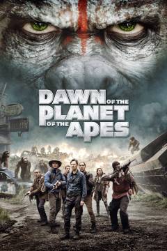 Film (dvd), 2014