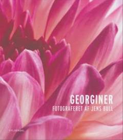 Bog, 1. udgave, 2004