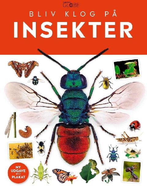 Bliv klog på - insekter