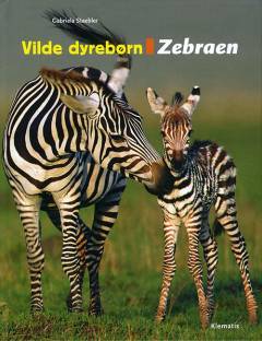 Zebraen