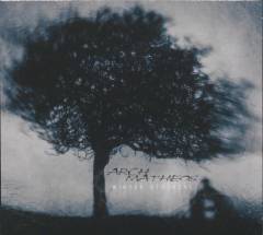 Winter ethereal