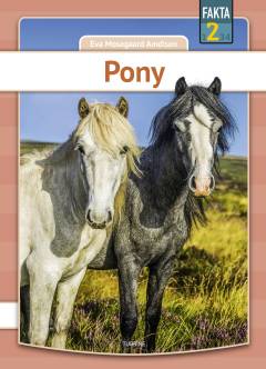 Pony