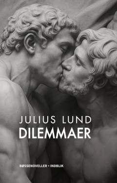 Dilemmaer : bøssenoveller