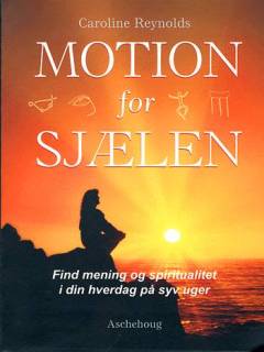 Motion for sjælen : find mening og spiritualitet i din hverdag på syv uger