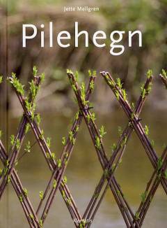 Pilehegn